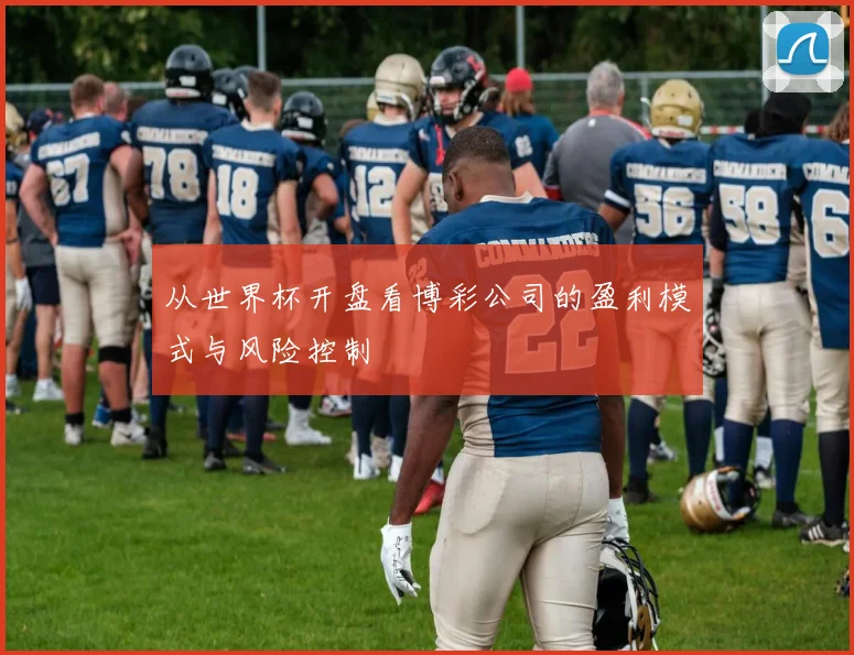 从世界杯开盘看博彩公司的盈利模式与风险控制