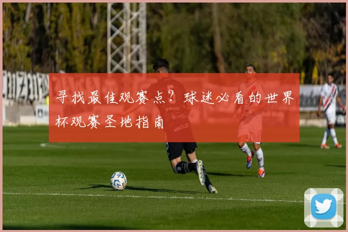 寻找最佳观赛点？球迷必看的世界杯观赛圣地指南