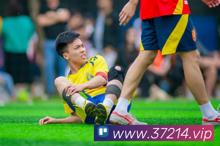 开云手机在线登陆入口平台生态图