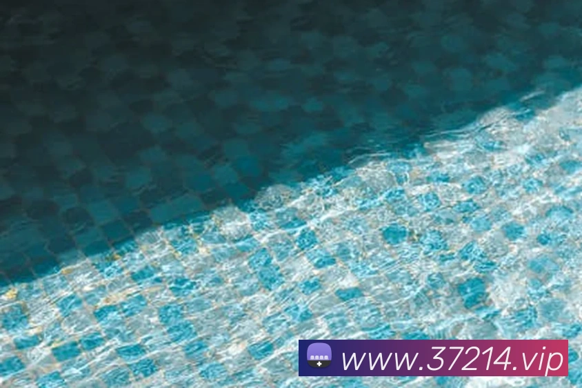 开云手机在线登陆入口APP 封面图